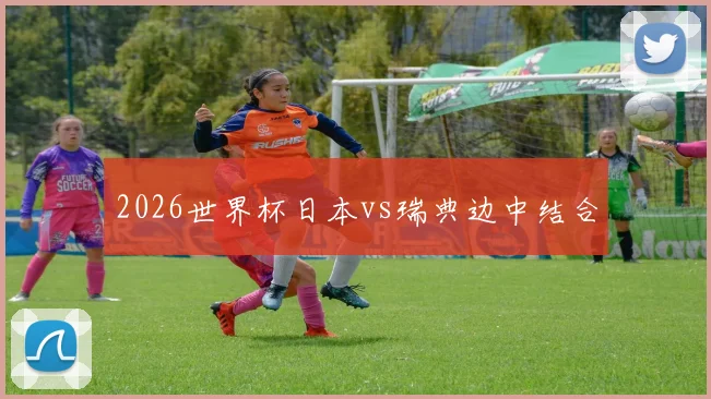 2026世界杯日本vs瑞典边中结合