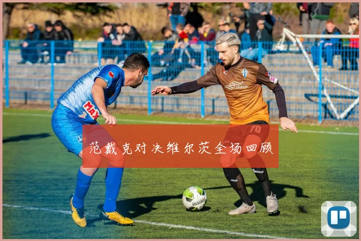 范戴克对决维尔茨全场回顾