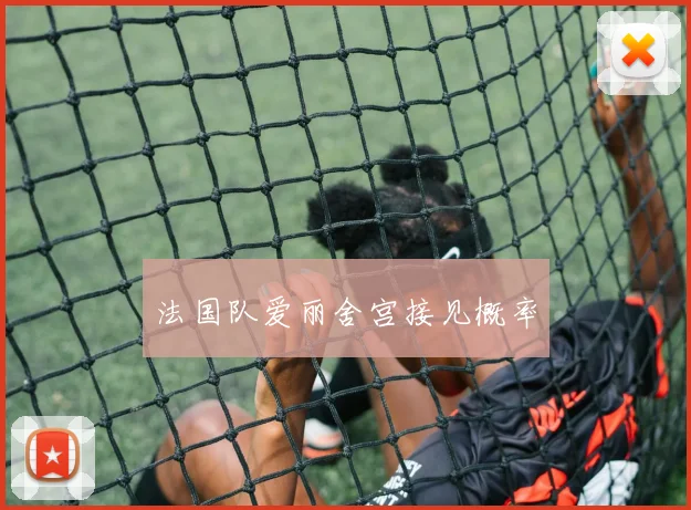 法国队爱丽舍宫接见概率
