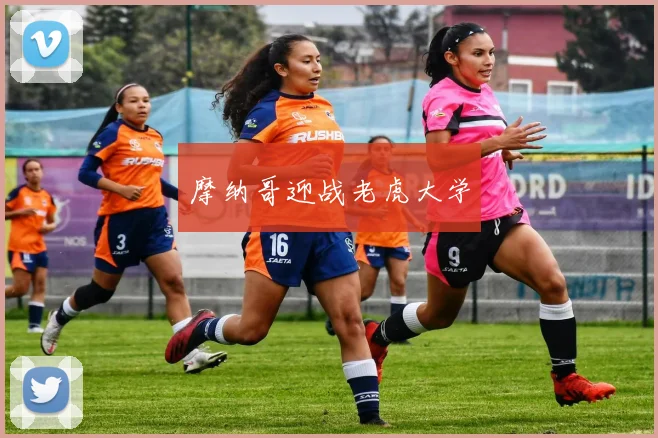 摩纳哥迎战老虎大学