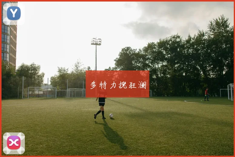多特力挽狂澜