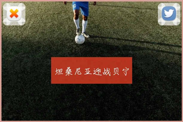 坦桑尼亚迎战贝宁