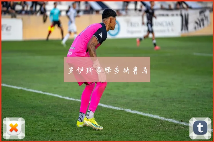 罗伊斯争锋多纳鲁马