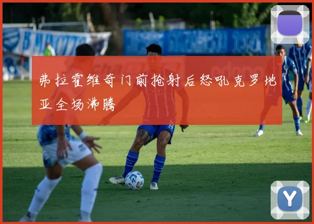 弗拉霍维奇门前抢射后怒吼克罗地亚全场沸腾