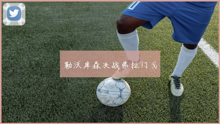 勒沃库森决战弗拉门戈