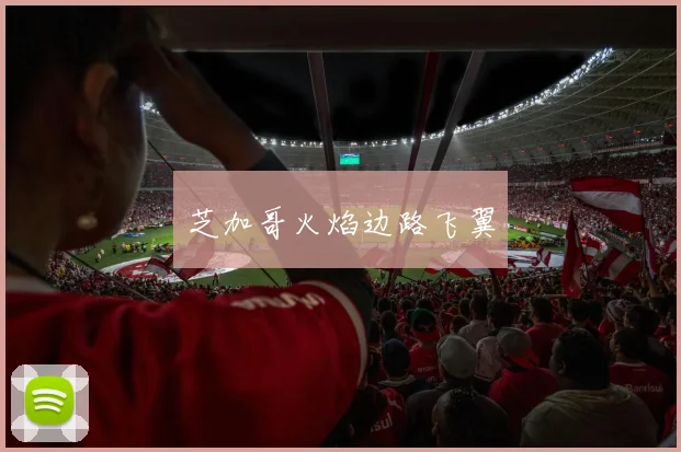 芝加哥火焰边路飞翼