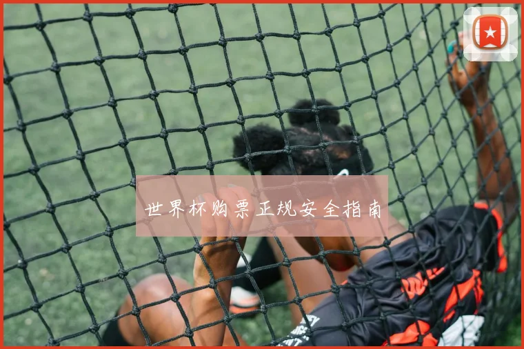 世界杯购票正规安全指南