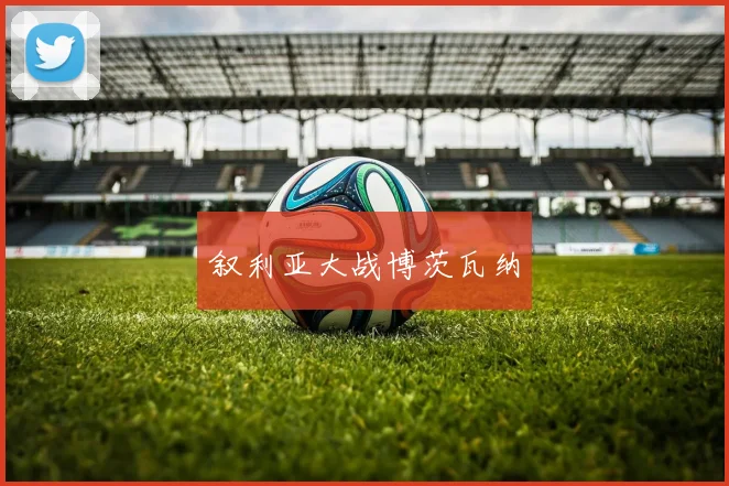 叙利亚大战博茨瓦纳