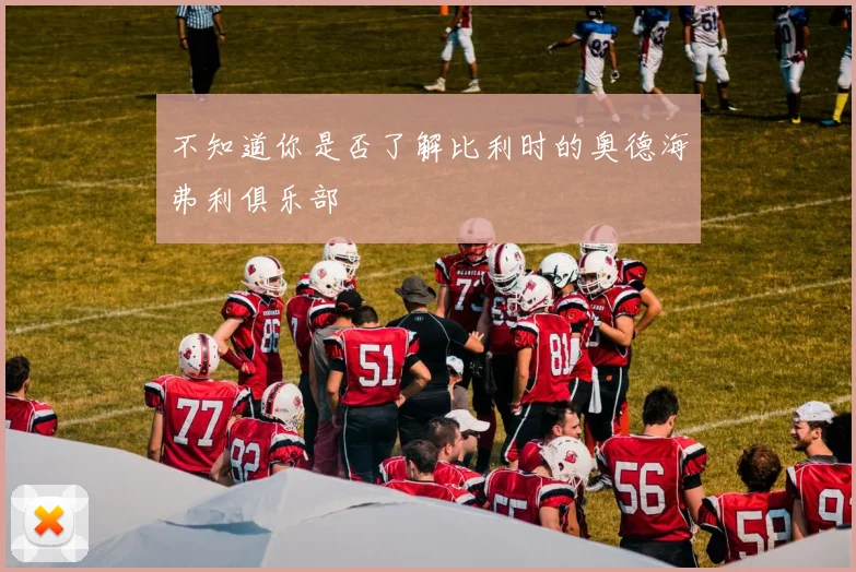 不知道你是否了解比利时的奥德海弗利俱乐部