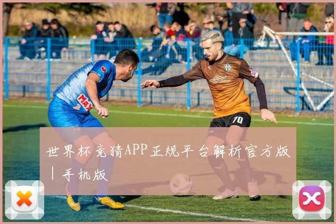 世界杯竞猜APP正规平台解析官方版｜手机版