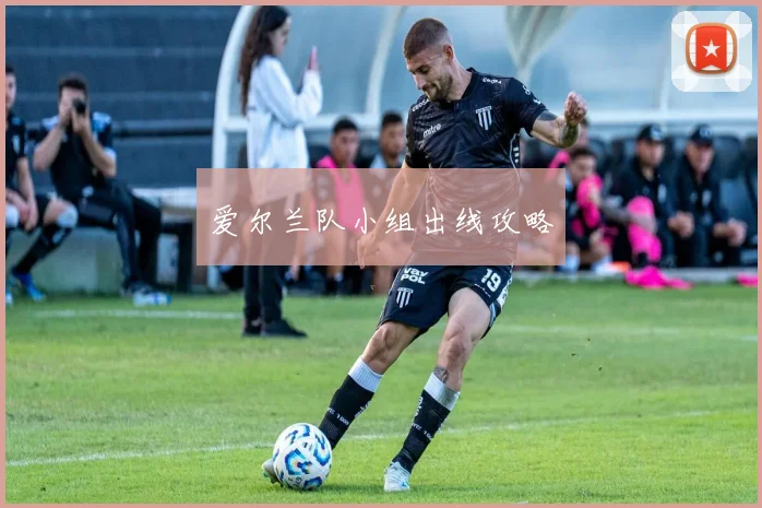 爱尔兰队小组出线攻略