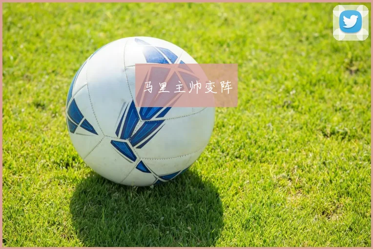 马里主帅变阵