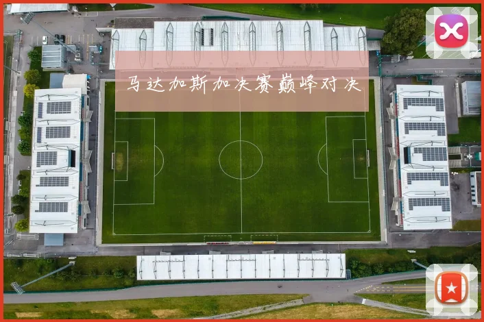 马达加斯加决赛巅峰对决