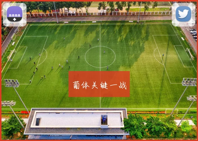 葡体关键一战