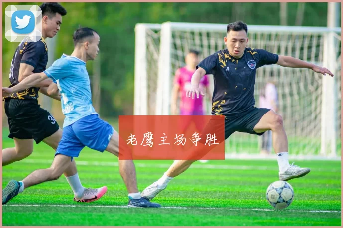 老鹰主场争胜