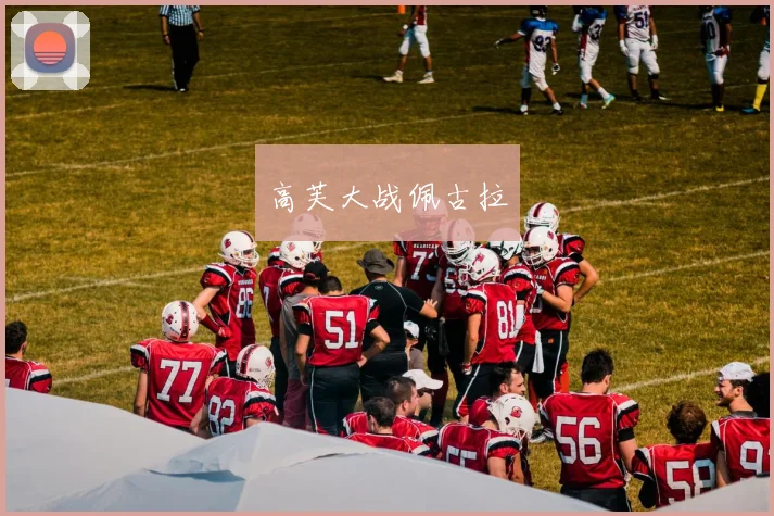 高芙大战佩古拉