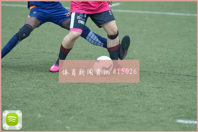 6月14日厄瓜多尔对科特迪瓦禁区抢点