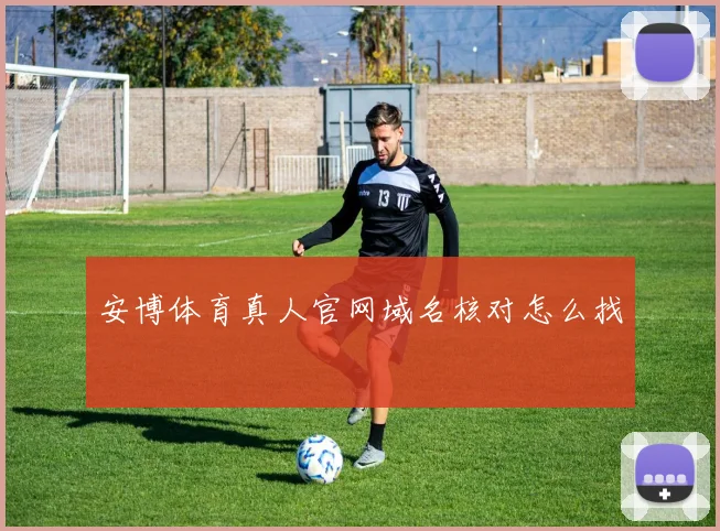 安博体育真人官网域名核对怎么找