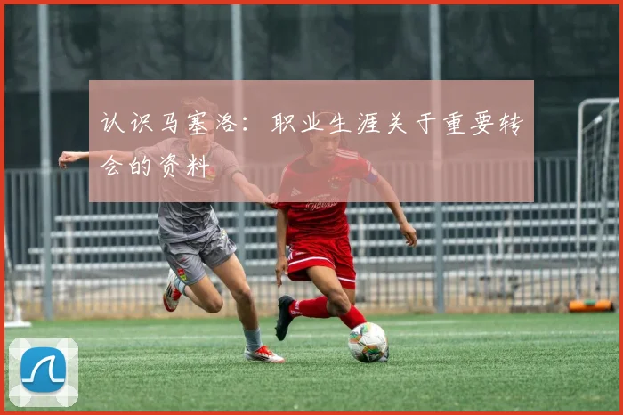 认识马塞洛：职业生涯关于重要转会的资料