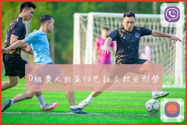 D组澳大利亚vs巴拉圭积分形势