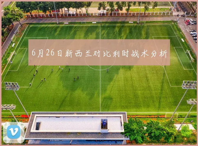 6月26日新西兰对比利时战术分析